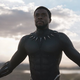 Image for article titled After Backlash, the Oscars Backtrack on the Best Popular Film Category (for Now)